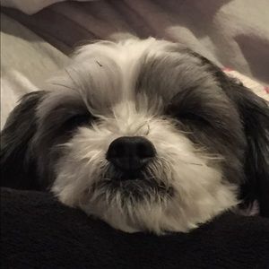 Meet your Posher, Mei